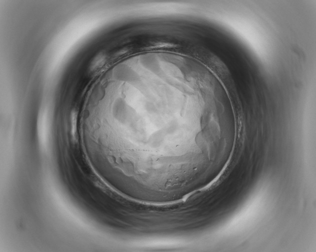 X0000113051439200909101930