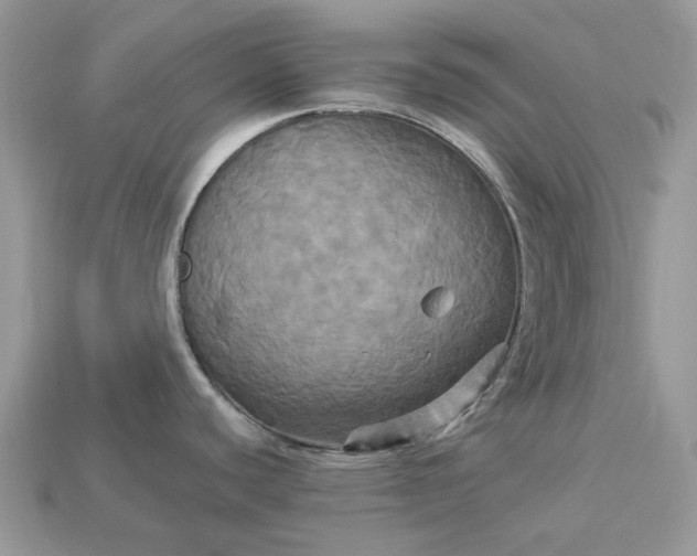 X0000113051440200909101930