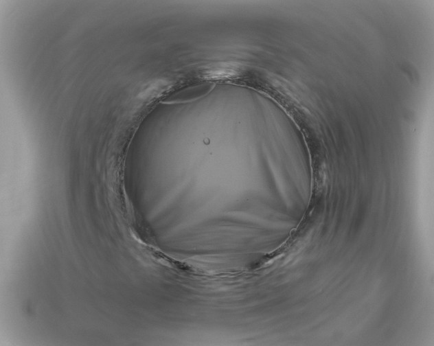 X0000113051441200909101929