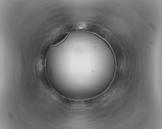 X0000113051442200909101929