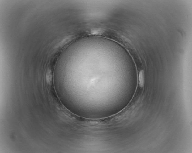 X0000113051443200909101929