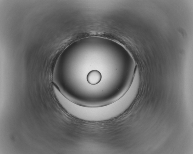 X0000113051444200909101929