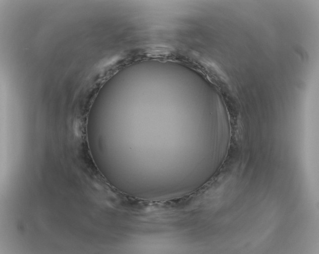 X0000113051445200909101929