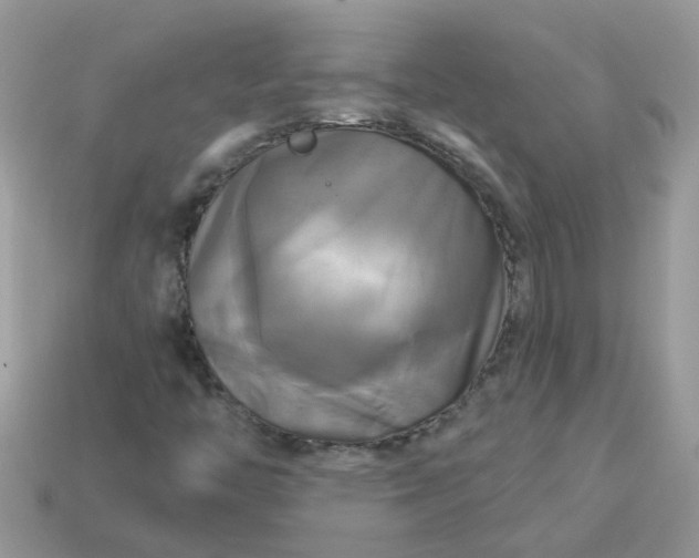 X0000113051446200909101929