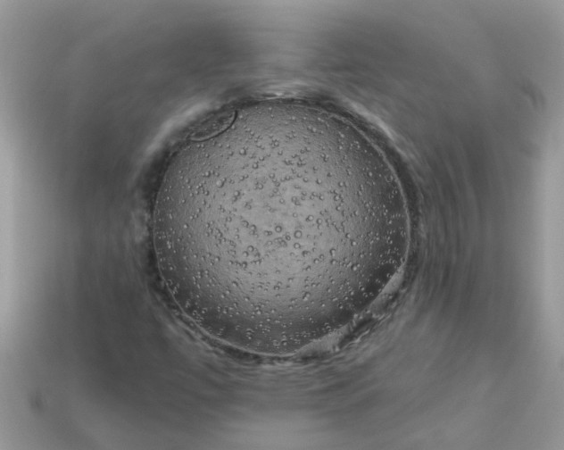 X0000113051447200909101929