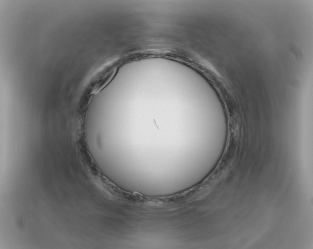 X0000113051448200909101929