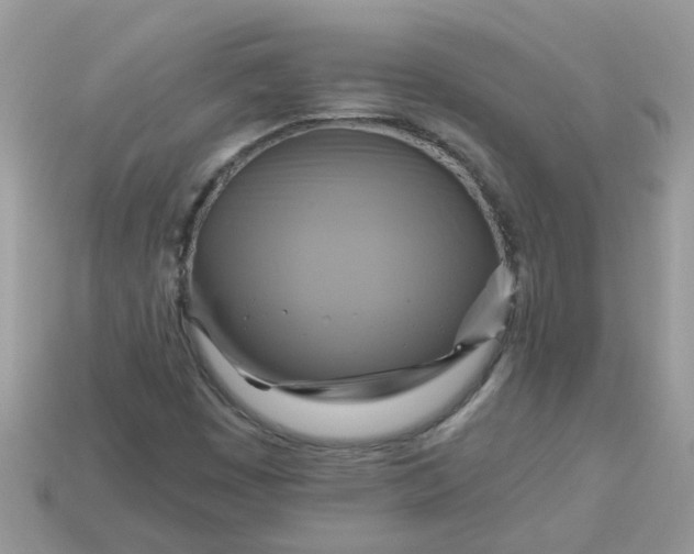 X0000113051449200909101929