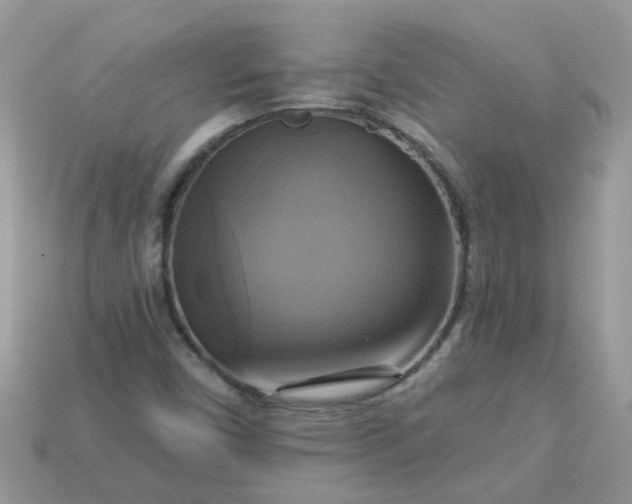 X0000113051450200909101929