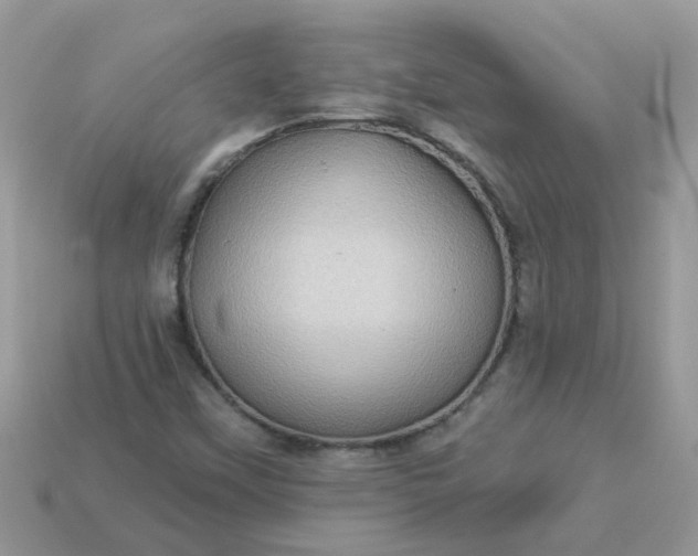 X0000113051451200909101929