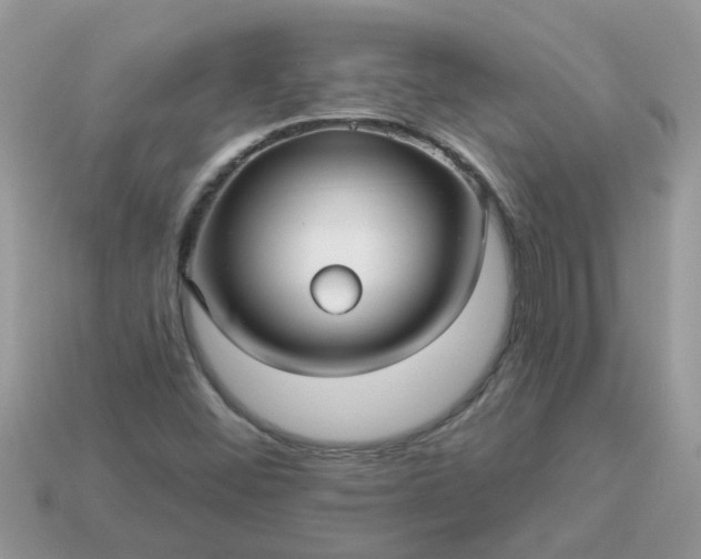 X0000113051452200909101929