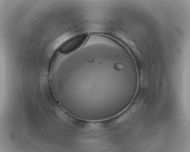 X0000113051453200909101929