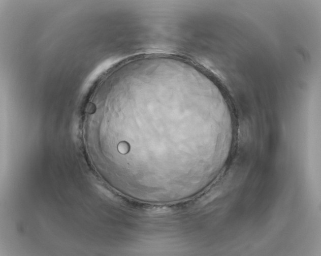 X0000113051454200909101929