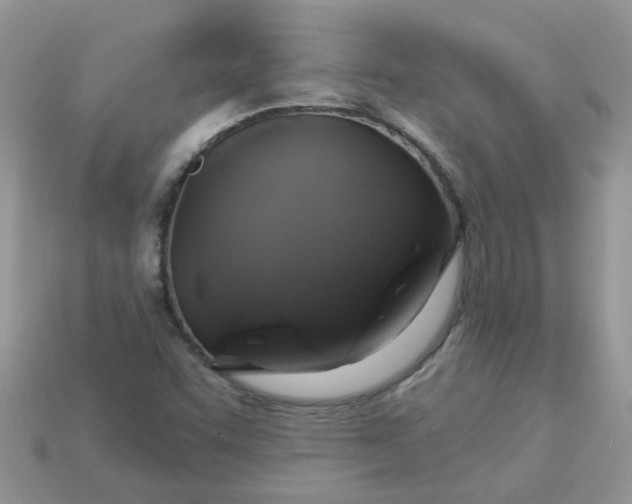 X0000113051455200909101929