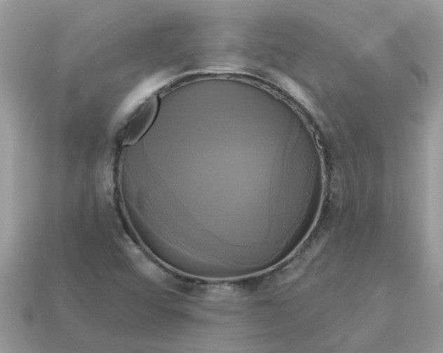 X0000113051456200909101929