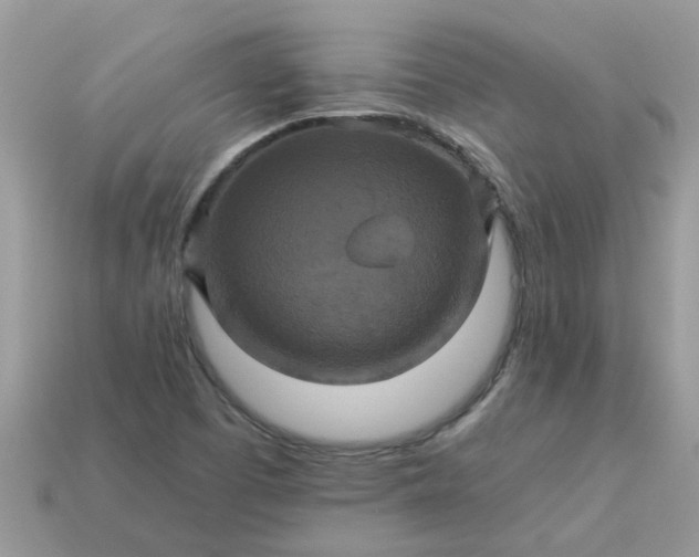 X0000113051457200909101929