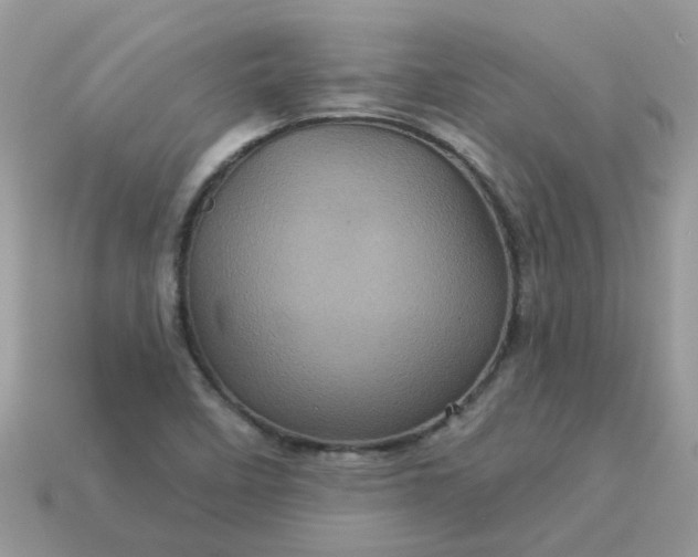 X0000113051458200909101929