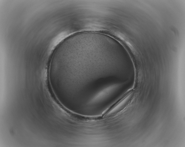 X0000113051459200909101929