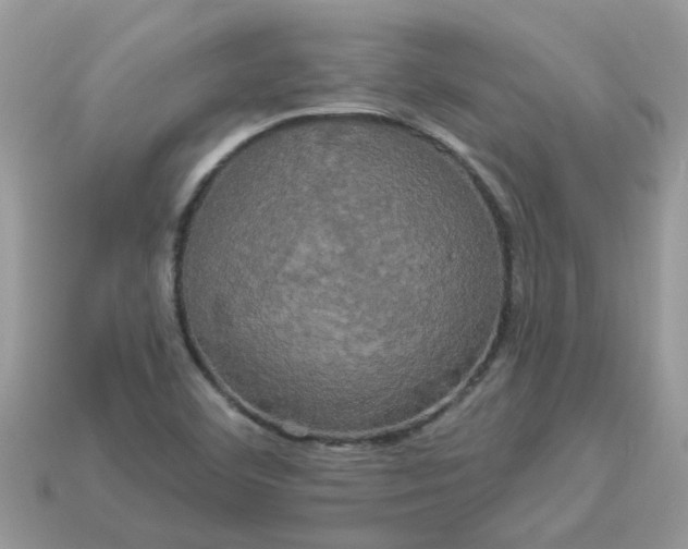 X0000113051460200909101929