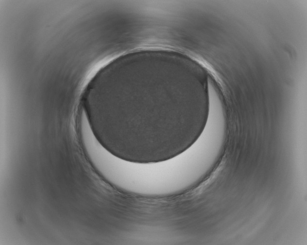 X0000113051461200909101929