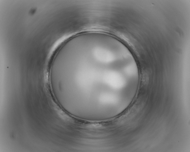 X0000113051462200909101929