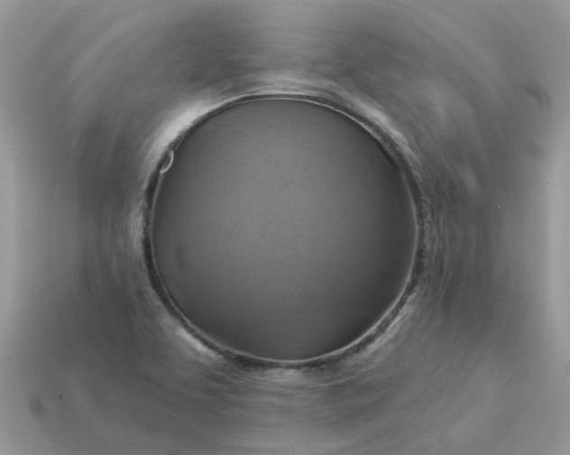 X0000113051463200909101929