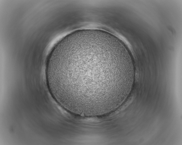 X0000113051464200909101929