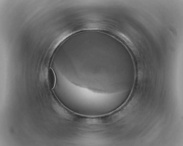 X0000113051465200909101929