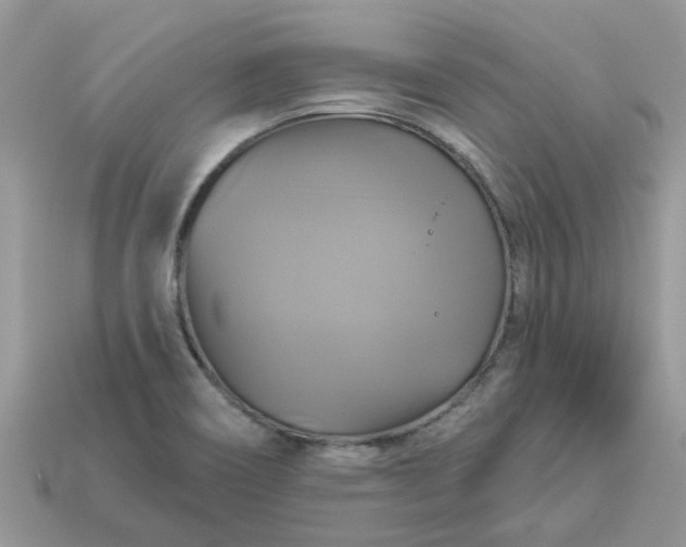 X0000113051466200909101929