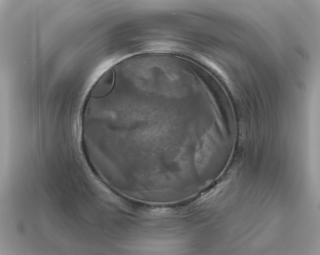 X0000113051467200909101929