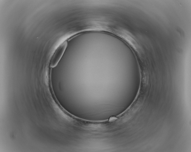 X0000113051468200909101929