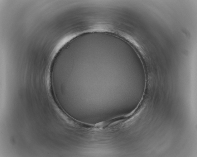 X0000113051469200909101929