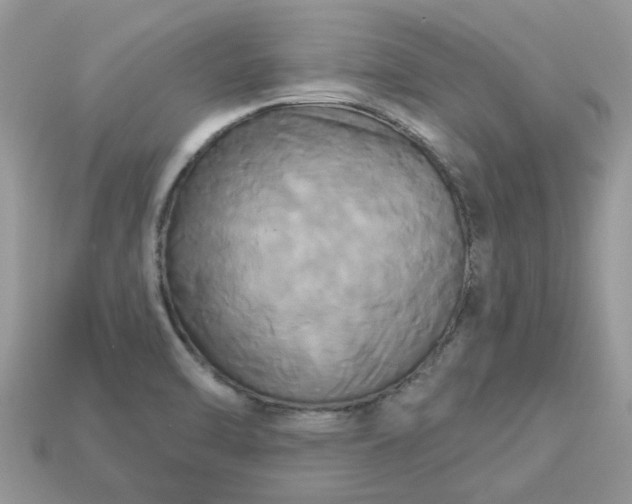 X0000113051470200909101929