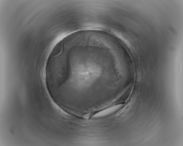 X0000113051471200909101929