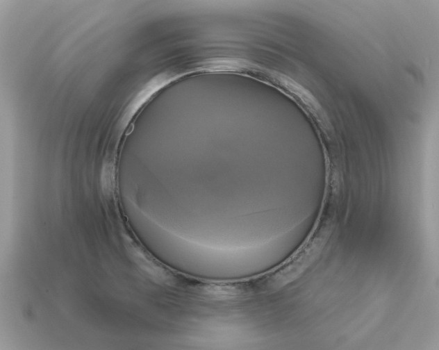 X0000113051473200909101929