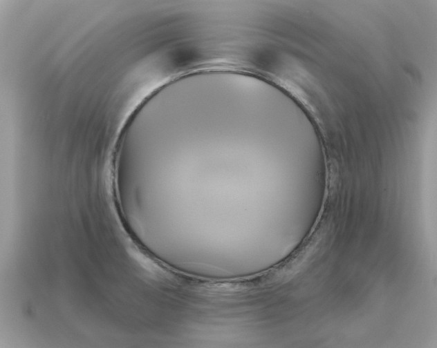 X0000113051474200909101929