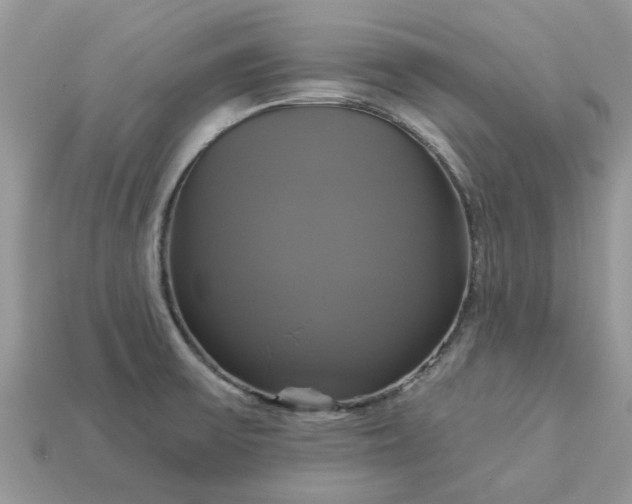 X0000113051475200909101929