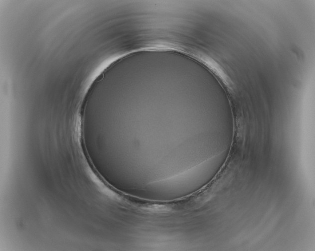 X0000113051476200909101929