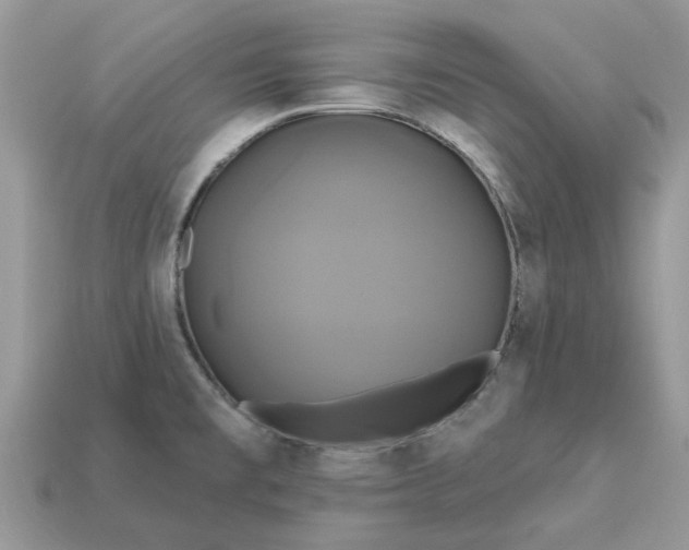 X0000113051477200909101929