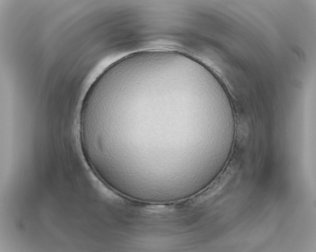 X0000113051478200909101929