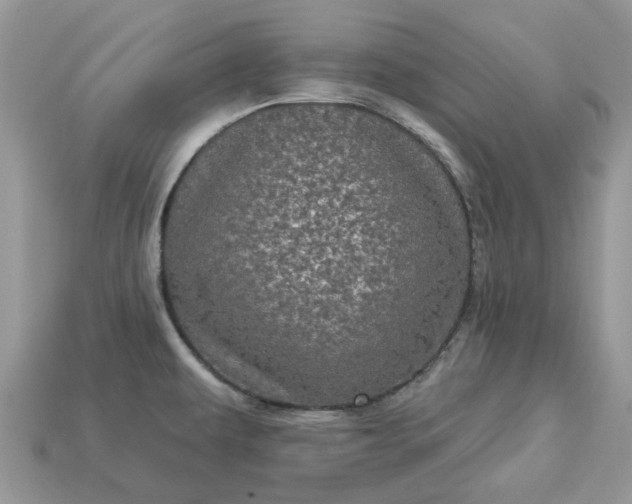 X0000113051479200909101929