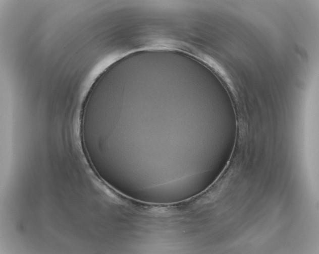 X0000113051480200909101929