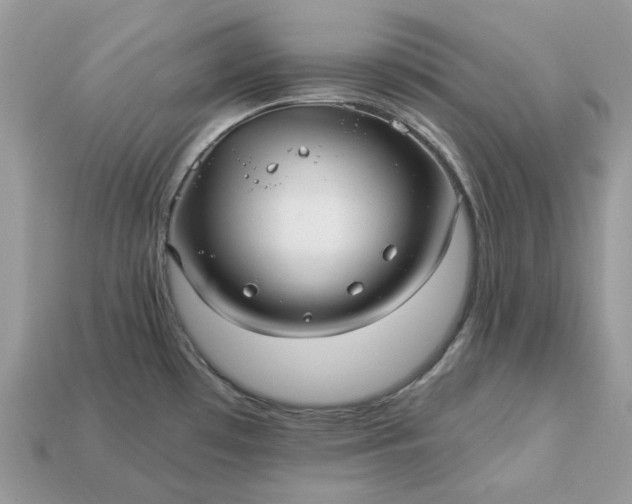 X0000113051481200909101929