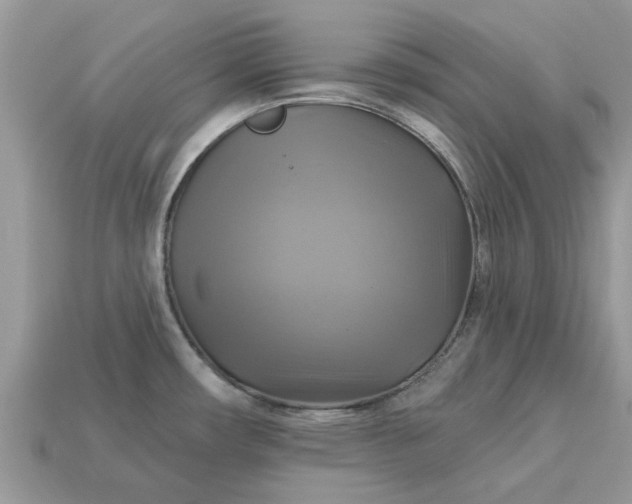 X0000113051482200909101929