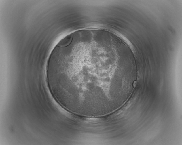 X0000113051483200909101929