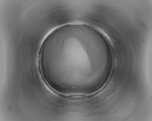 X0000113051484200909101929