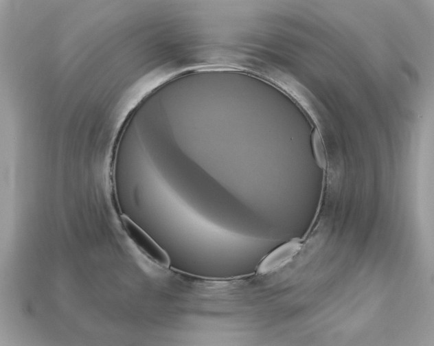 X0000113051485200909101929