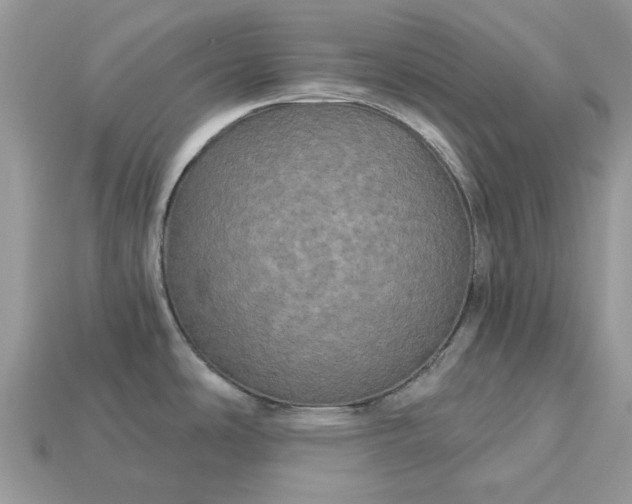 X0000113051486200909101929