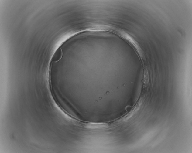 X0000113051487200909101929