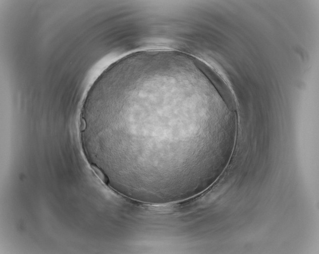 X0000113051488200909101929