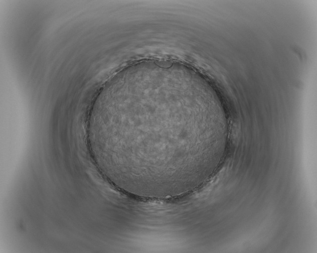 X0000113051489200909101928